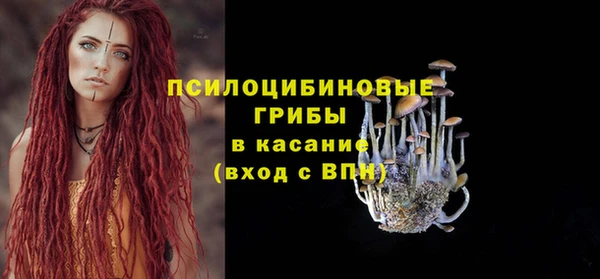 а пвп мука Чердынь
